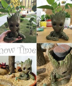 Maceta groot